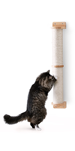 Cat Wall Scratcher