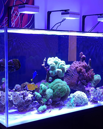 Amazon.com : PopBloom S16Pro Saltwater LED Aquarium Light
