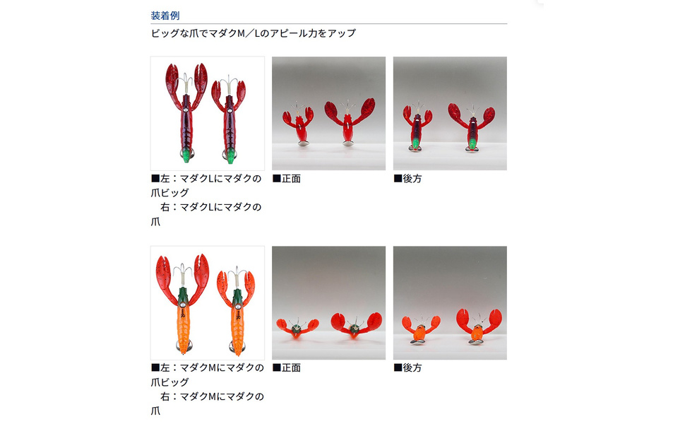 クマタカの爪 6570e96f7de1f672f74f0116b63e69