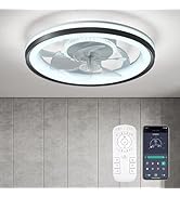 FTZVRD Ceiling Fan with Light and Remote, 19