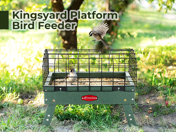 Amazon.com : Kingsyard Squirrel Proof Ground Bird Feeder for