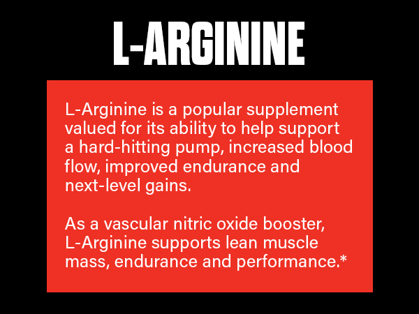 The Curse, JNX Sports, Pre-Workout, Creatine, Beta Alanine, L-Citrulline, L-Arginine, Supplement