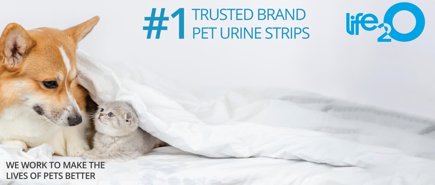life2O 10Parameter Cat & Dog Urine Test Strips 60ct, Cat & Dog UTI Test Kit