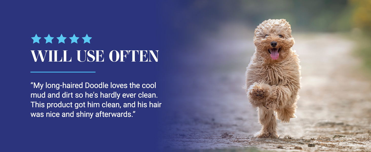 5 star review for Clean Start Dog Shampoo by Chris Christensen - this product got my doodle clean