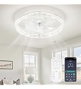 FTZVRD Ceiling Fans with Lights, 20 Inch Low Profile Flush Mount Fandelier Ceiling Fan with Remot...