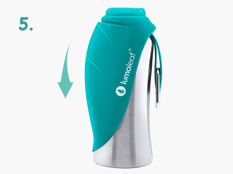 LumoLeaf Portable Dog Water Bottle 800 ml, Stainless Steel Pet Travel