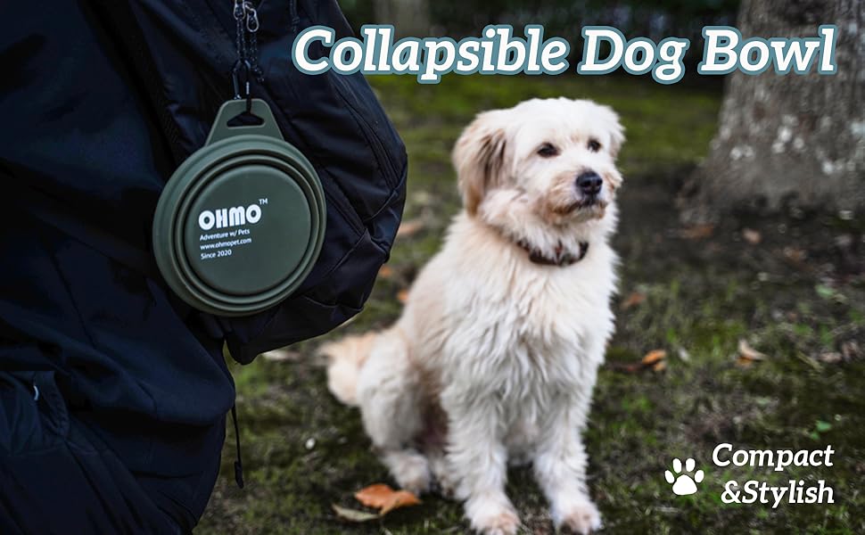 , cuenco plegable para perros. El cuenco circular verde se muestra colapsado junto a un pequeño perro blanco. El texto dice «Cuenco plegable para perros» y «Compacto y elegante».