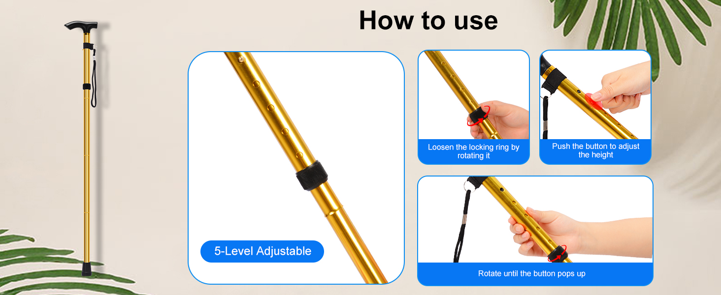 Folding Cane