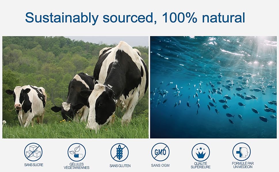 NATURALLY SOURCED COLLAGEN