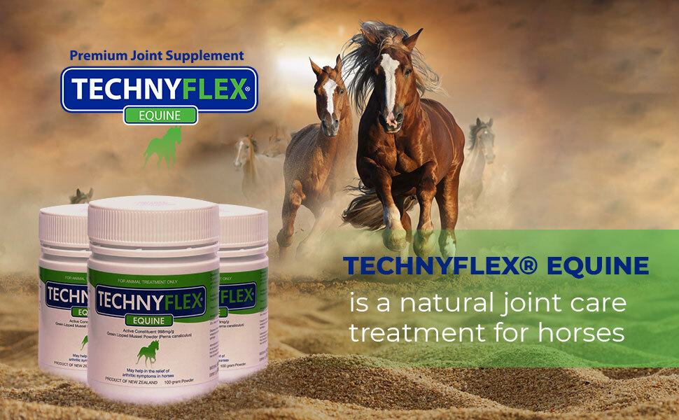 Technyflex 100 Gram Equine Reduces Pain, Swelling