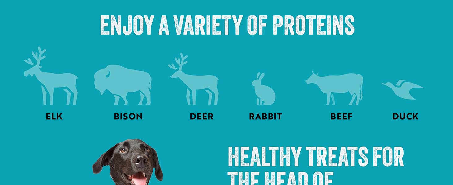 ETTA SAYS! Premium Crunchy Chews