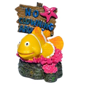No Fishing Clown Fish