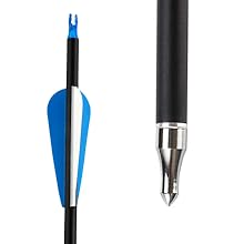 Carbon arrow