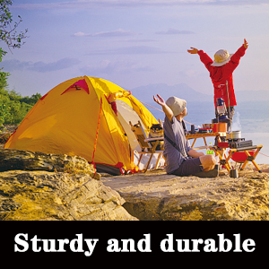 Tent Stakes Heavy Duty