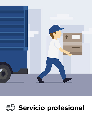 Professional services