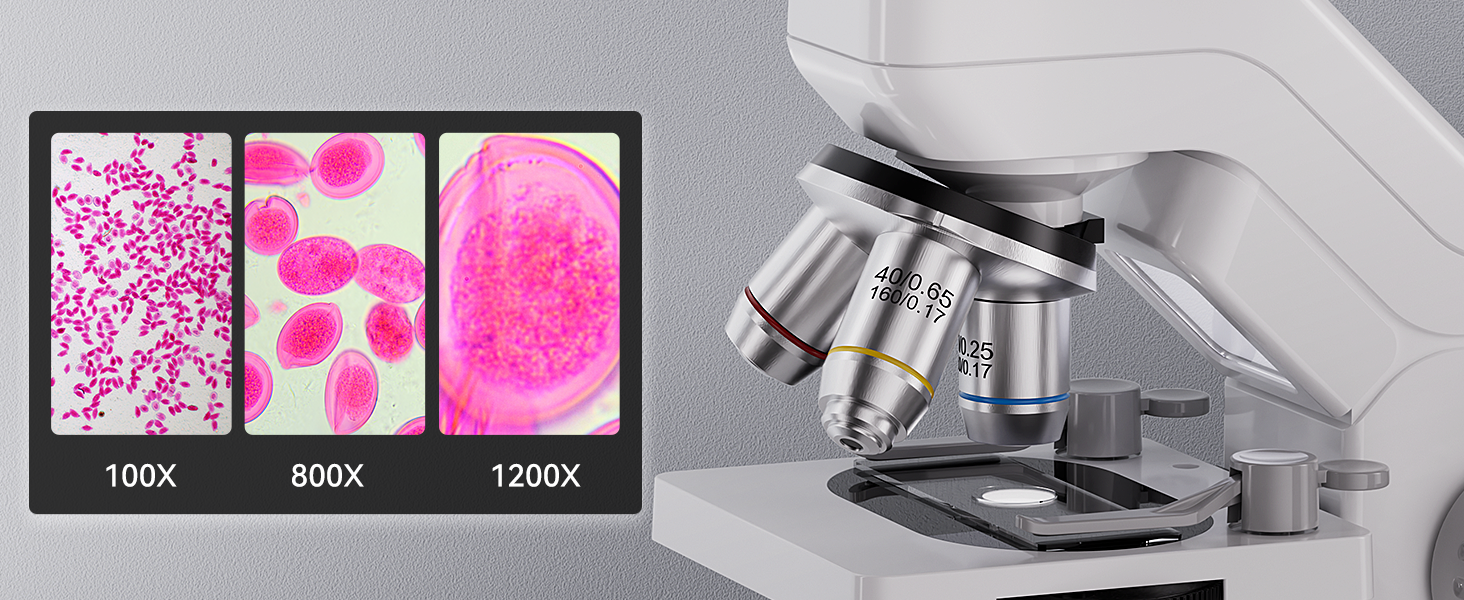ODM301 Pro biological microscope