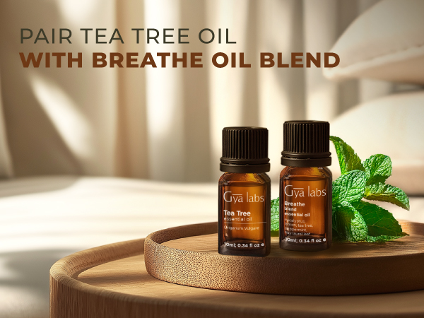 pure tea tree oil for skin tea tree oil for face tee tree oil drops for skin tea tree oil face