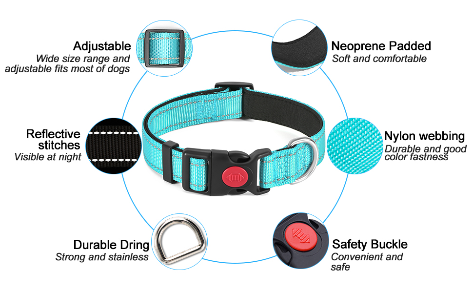 collar details