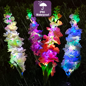 Solar  Flowers