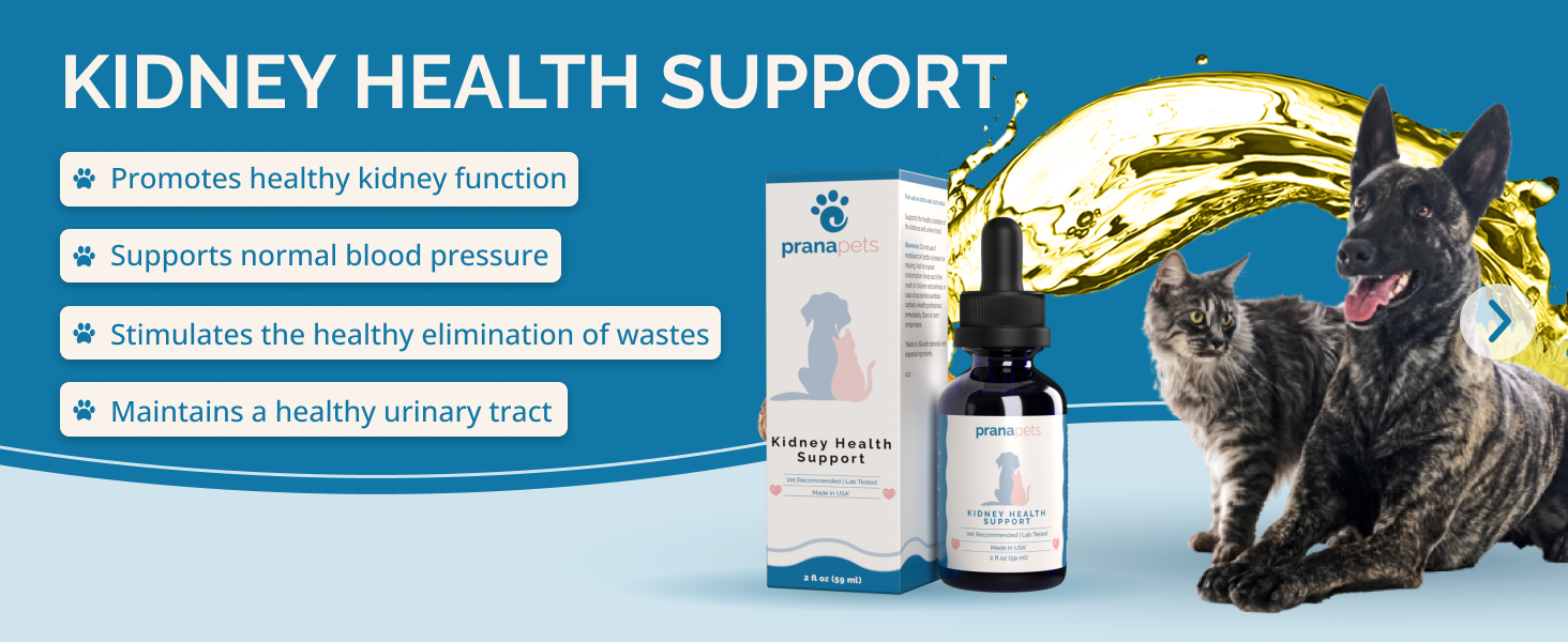 Prana Pets kidney health support natural bladder and kidney function support for dogs and cats