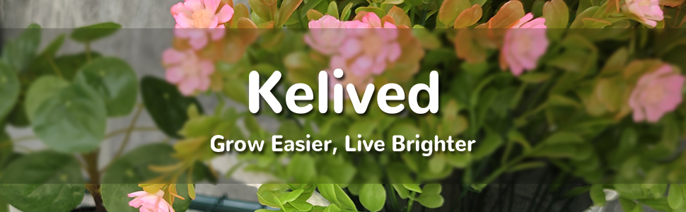 Kelived