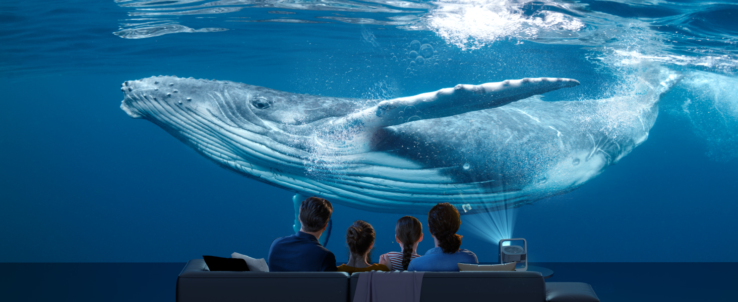 Vue sous-marine d'une grande baleine nageant au-dessus de silhouettes de personnes, probablement dans le cadre d'un aquarium ou d'une exposition marine