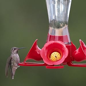 perky-pet replacement yellow bee guards keep insects out