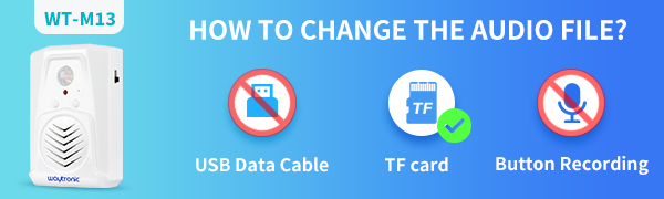 Waytronic motion activated player built-in 128MB SD Card