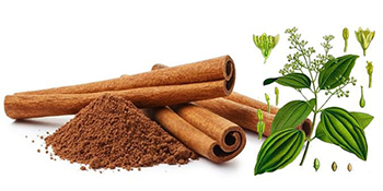 Vicco Vajradanti Herbal Toothpaste 18 Ayurvedic Herbs and Barks with Cinnamon Flavour