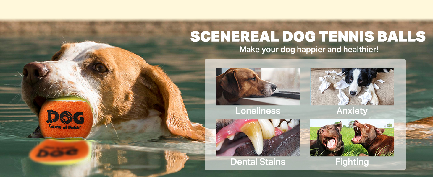 medium squeaky balls for dogs