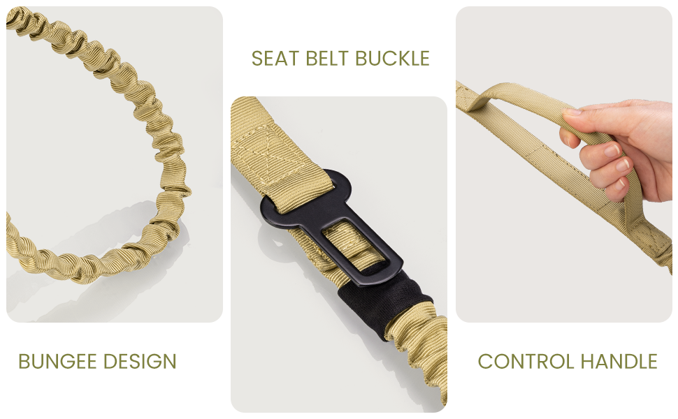 OutdoorMaster Bungee Dog Leash, Heavy Duty Dog Leash with