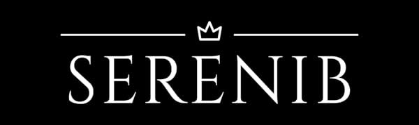 electric lighter;arc lighter;lighters for men;windproof lighter;serenib;bic lighters