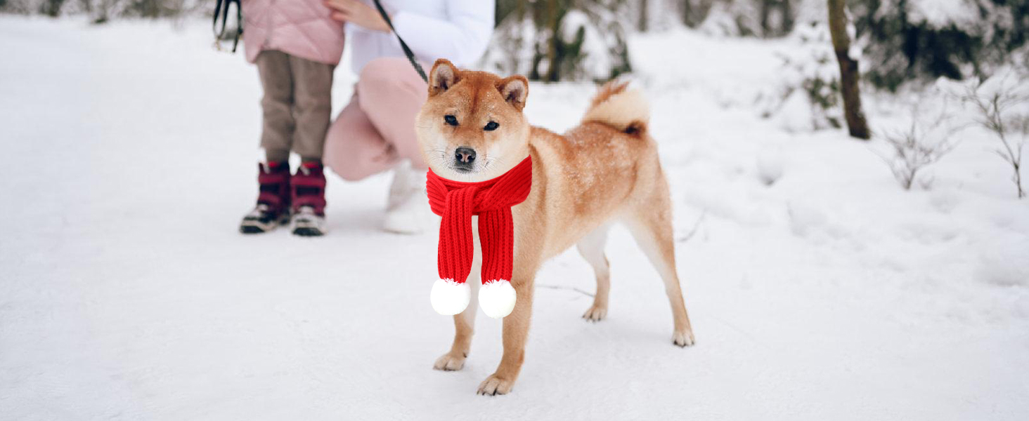 HYLYUN Christmas Pet Scarf 2 Pieces Knitted Pet Collar Winter Cat Neck Warmer Red Green Pet Scarf Puppy Cat Costume Accessories Mini Knitted Scarf for Small to Medium Sized Pets 18 Christmas Dog Knitted Scarf