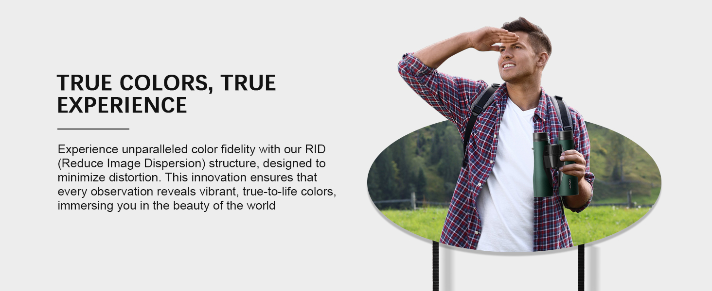 True Colors, True Experience