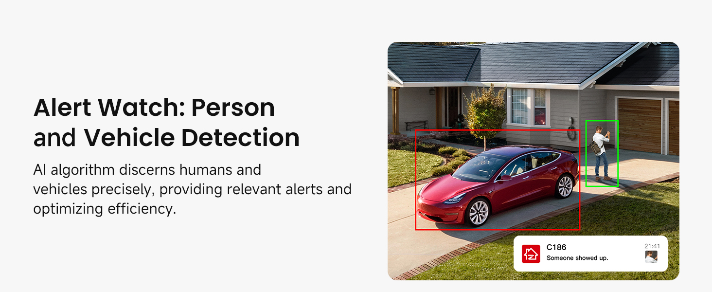 Person and Vehicle Detection