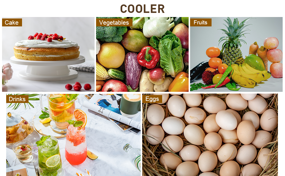 Compact Refrigerator