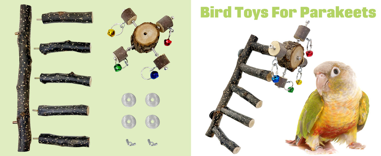 Play, chew, explore spin balls. Relieve anxiety, boredom. Stimulate mentally, reduce stress