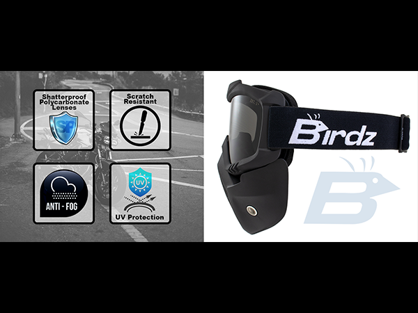 Amazon.com: Birdz Eyewear Skylark Motorcycle Goggles
