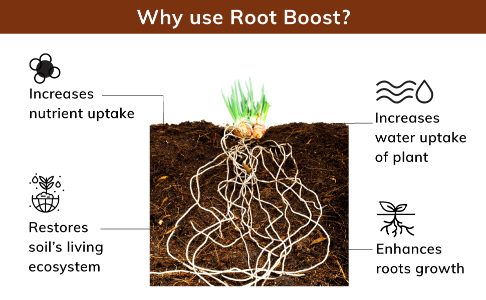 Lazy Gardener Root Boost Liquid Fertilizer for Plants Root Growth Home