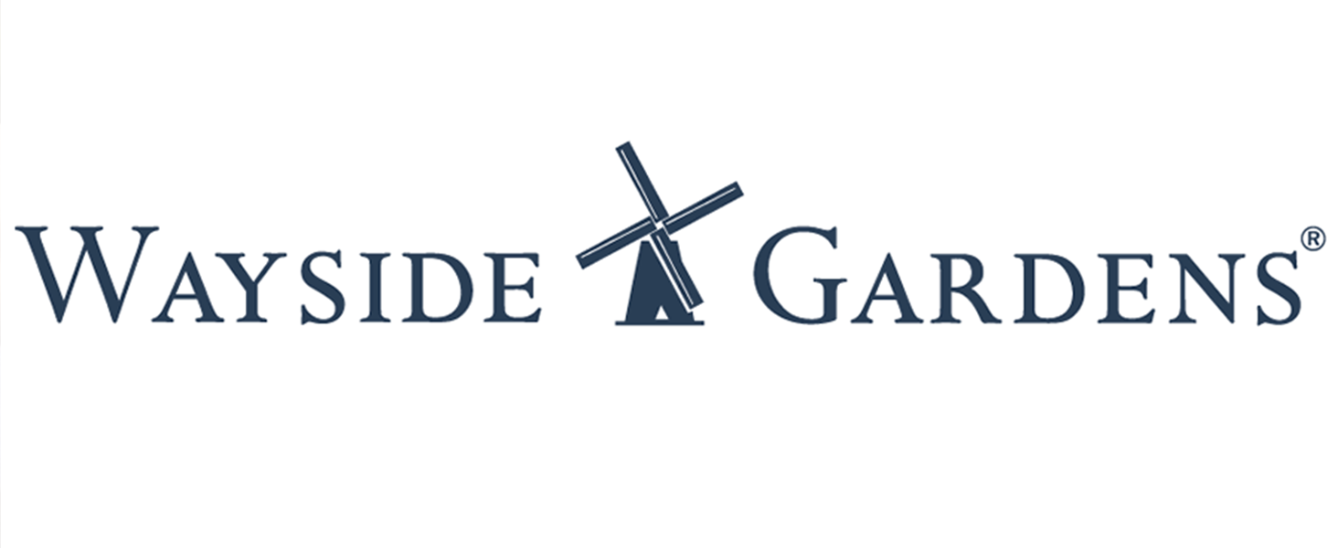 Wayside Gardens Greenwell Water Saver, Large