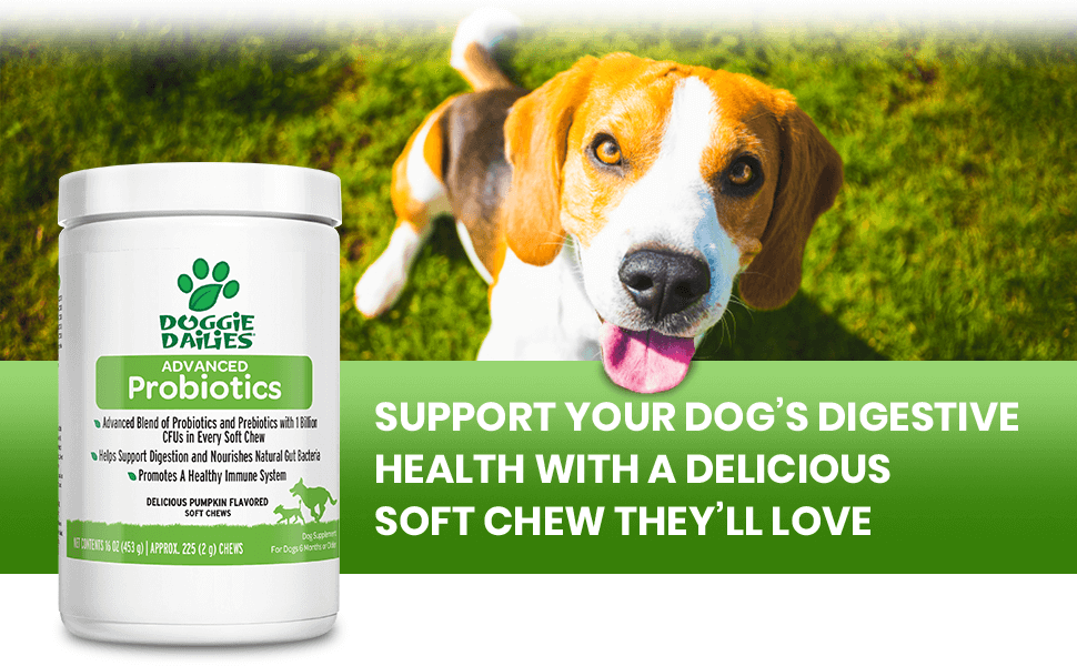 Doggie Dailies Probiotics for Dogs, 225 Soft Chews, Advanced Dog Probiotics with