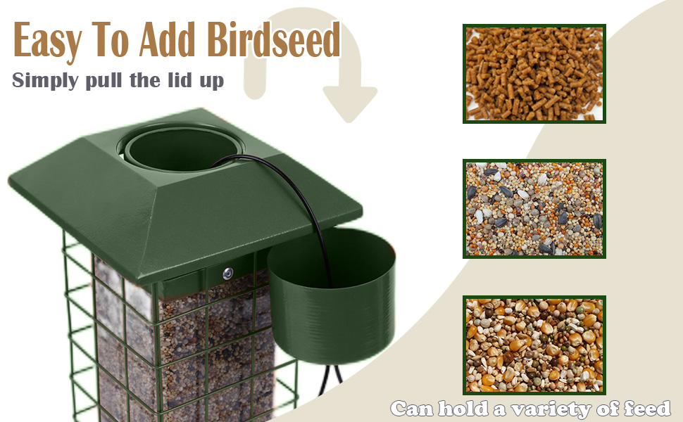 Bird Feeder for Outside