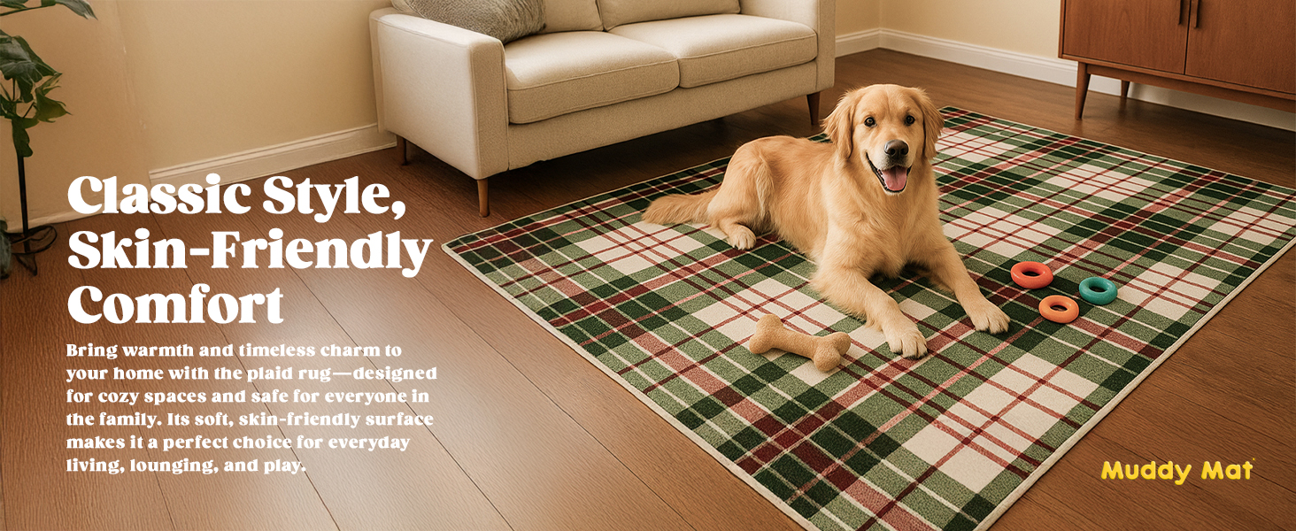 Plaid area rug carpet A+