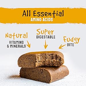 bodyme protein powder organic vegan treats gluten free vitamin protein bar cold press maca cinnamon