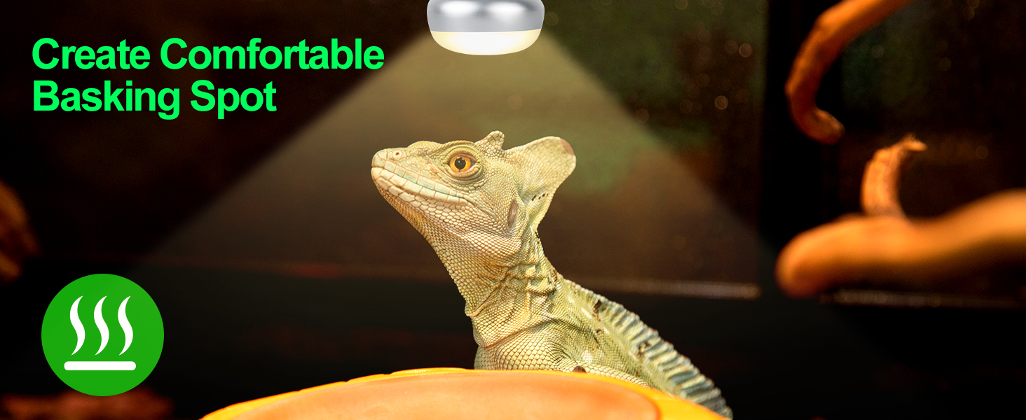 reptile heat bulb