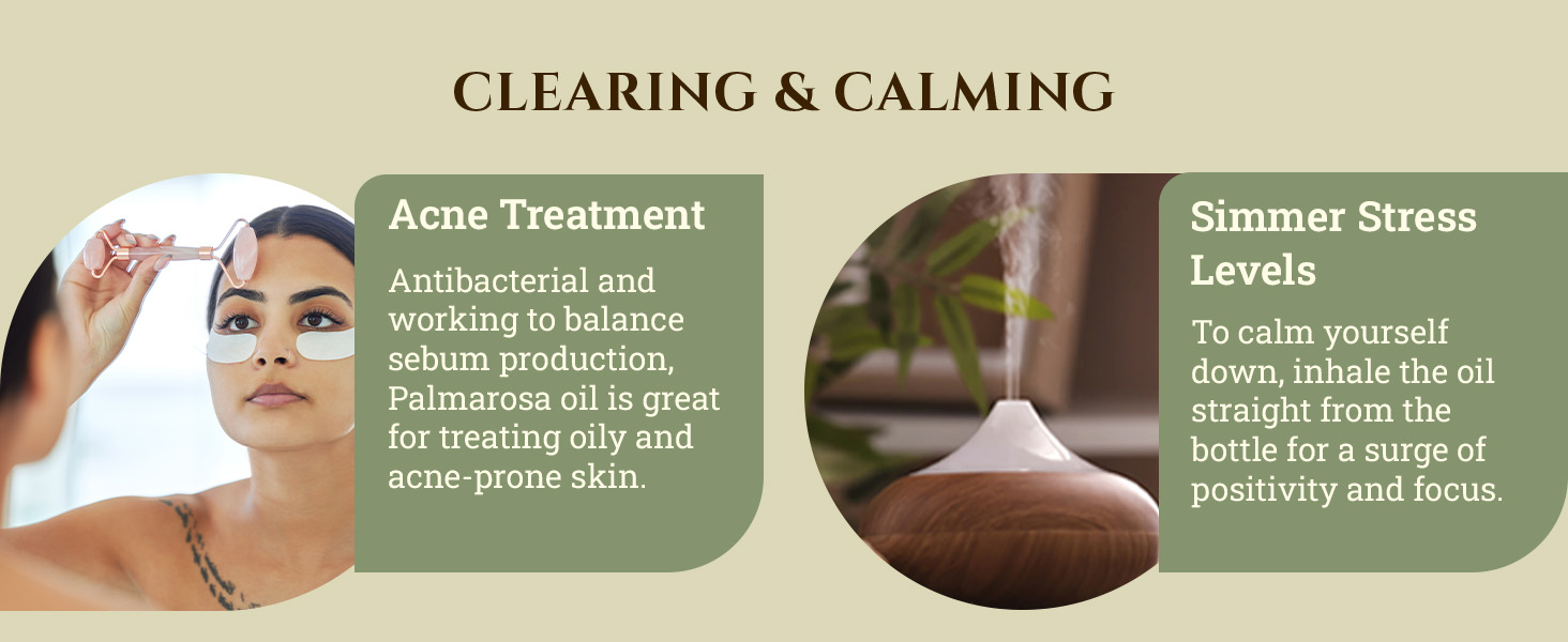 Rosemary Essential Oil Cosmos Certified Organic 100% Pure Spanish Therapeutic Grade for Aromatherapy