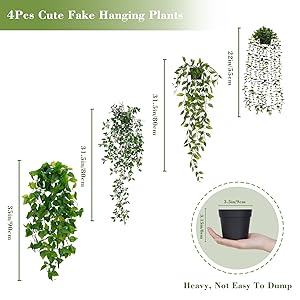 hanging plants