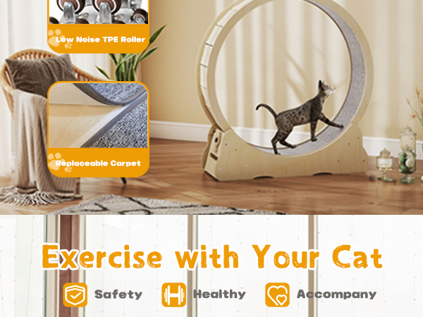 Amazon.com: Large Cat Exercise Wheel 46 inch - Natural Solid