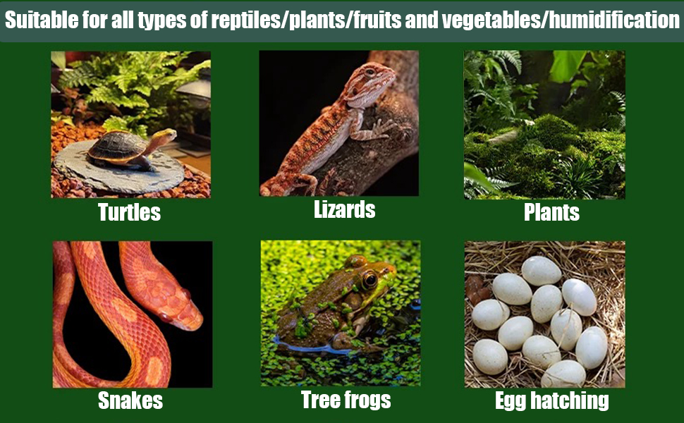 humidifier for plants