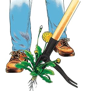 Grampas weeder grandpas weeding puller removal weeds dandelion stand up original weeding